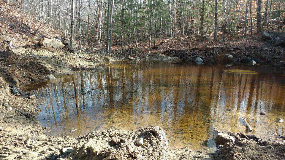 Pond at site